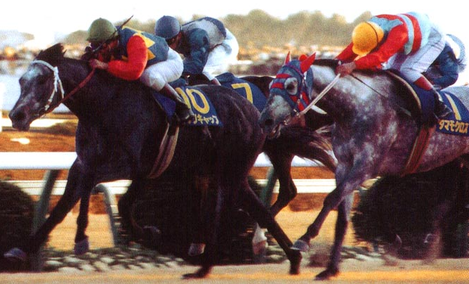上品な 競馬 レープロ 1988年 天皇賞秋 １着タマモクロス、２着オグリ ...